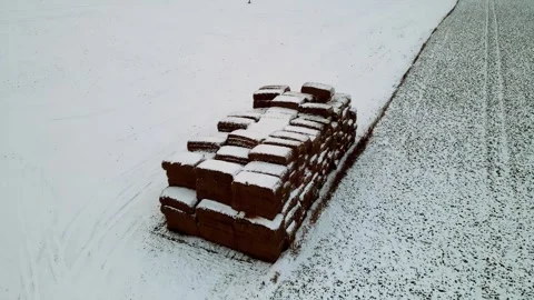 Stack of square hay bales, straw thatch for feeding large horned cattle in Video stock 264571439