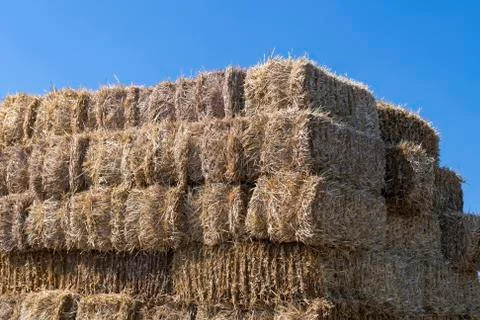Stack of straw bales against a blue sky. Stock Photos