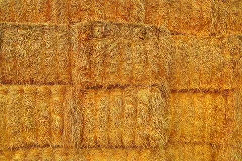 A stack of straw bales background. Agricultural concept Fotos de archivo