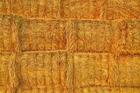 A stack of straw bales background. Agricultural concept 스톡 사진