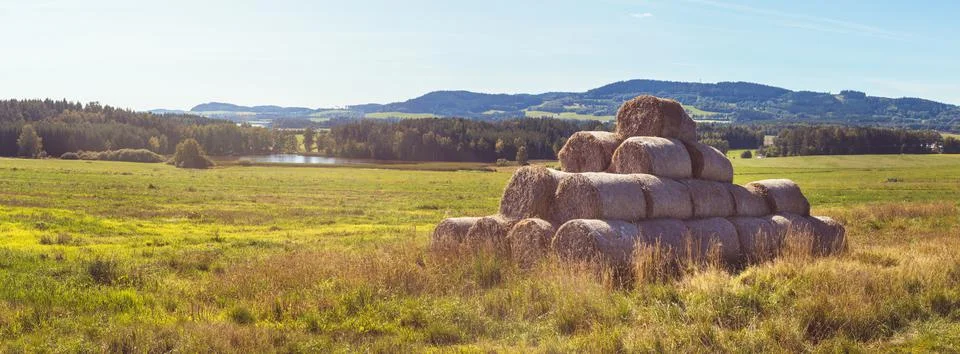 Stack of straw bales on field of grass, landscape with meadow, pond Foto stock