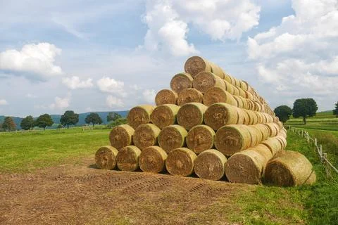 Stack of straw bales - round straw bales stacked in a pyramid, on a field 스톡 사진