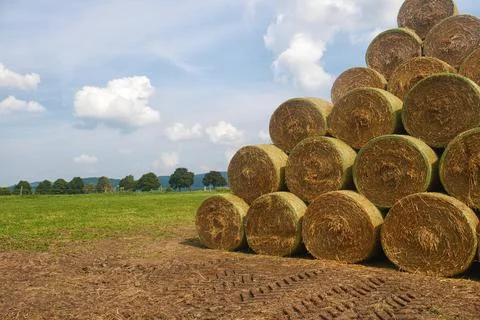 Stack of straw bales - round straw bales stacked in a pyramid, on a field Stock-Fotos
