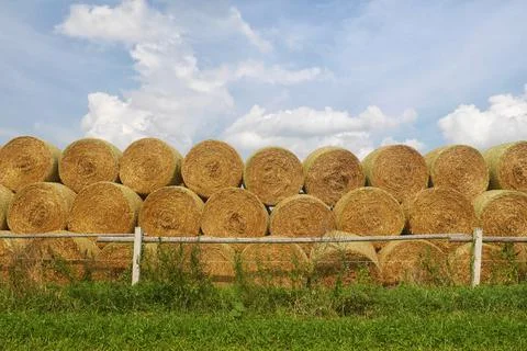 Stack of straw bales - stacked round straw bales, meadow with wooden fence Stock Photos