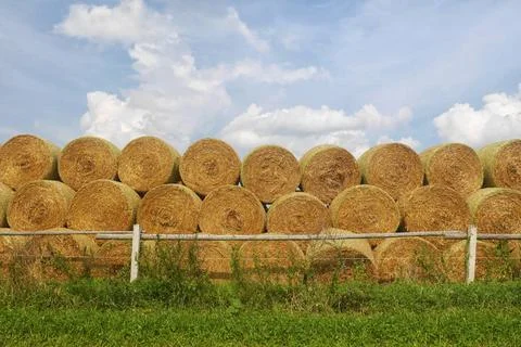 Stack of straw bales - stacked round straw bales, meadow with wooden fence... Foto stock