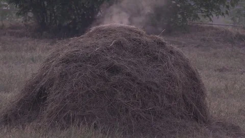 The stack of straw burning Stock Footage 77236620