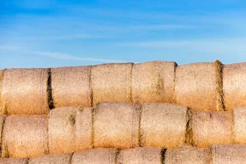 Stack of straw in the field Stock Photos