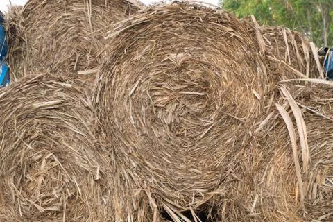 Stack of straw in the field. Stock Photos