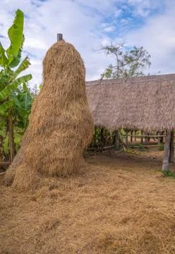 Stack of straw or hay bales in a rural landscape Stock Photos