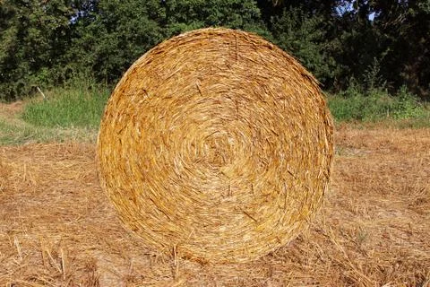 Stack of straw Stock Photos