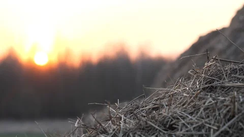 A stack of straw red sun at sunset day Video stock 129249860