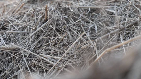 A stack of straw red sun at sunset day Video stock 129250482