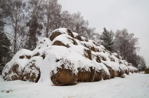 Stack of straw round shape under the layer of snow. Stock Photos