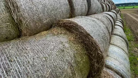 A stack of straw taken in the field Stock Footage 155299279