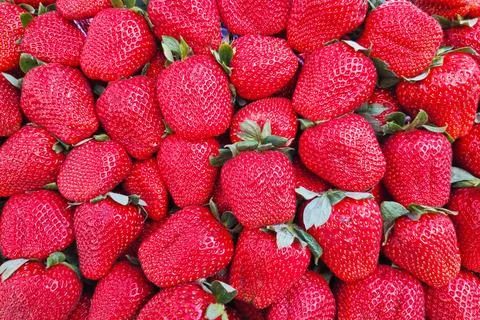 Stack of strawberries on a market stall Stock Photos