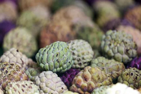 Stack of Sugar apples on a market stall 스톡 사진