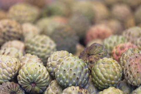 Stack of Sugar apples on a market stall 스톡 사진