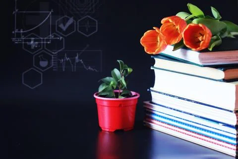 A stack of textbooks and books on the table. The concept of knowledge. Stock Photos