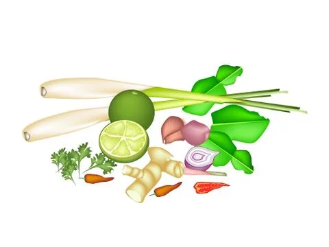 A Stack of Thai Food or Thai Cuisine Ingredient Stockillustratie