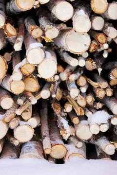 Stack of thin birch branches in the snow ready to be used in the fireplace Stock Photos