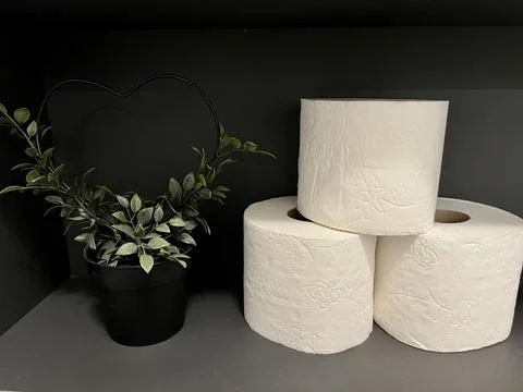 A stack of three rolls of white toilet paper on a shelf Stock Photos