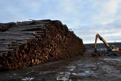 Stack of timber and a crane to move it Stock Photos