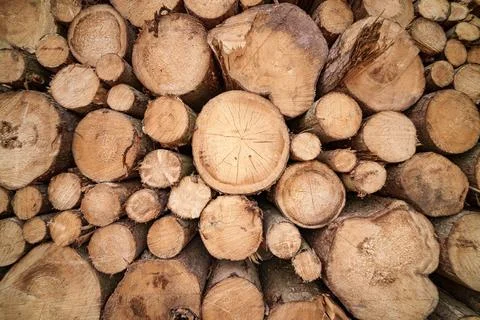 Stack of timber logs, natural material used for lumber and cuisine ingredient Stock Photos