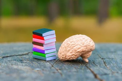 Stack Of Tiny Books Next To Brain Figure On Tree Stump in the Woods Stock Photos