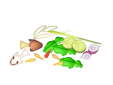 Stack of Tom Yum Ingredient on White Background Stock Illustration