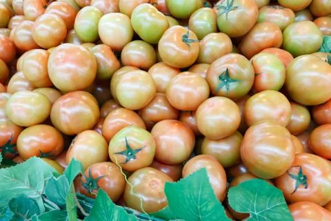 A stack of tomatoes on display Stock Photos
