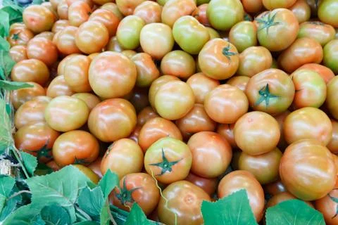 A stack of tomatoes on display Stock Photos