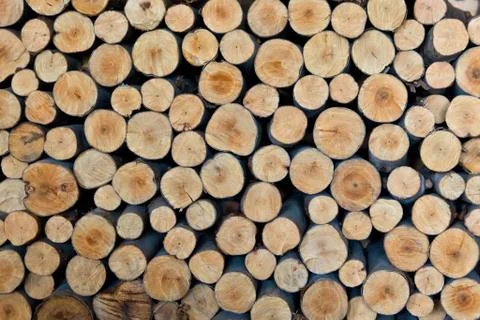 Stack of tree stump for background Stock Photos