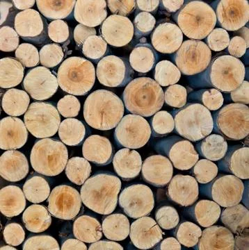 Stack of tree stump for background Stock Photos
