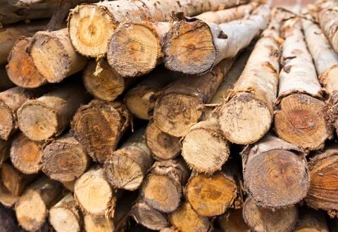 Stack of tree stump Stock Photos
