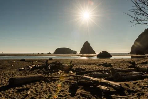 Stack of trunks and islets in the background that stand out in the Pacific Ocean Stock Photos