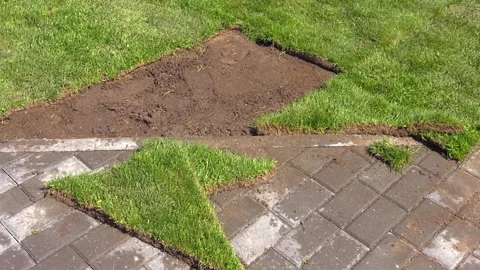 Stack of turf grass for lawn. roll of sod, turf grass roll. Video stock 281913511