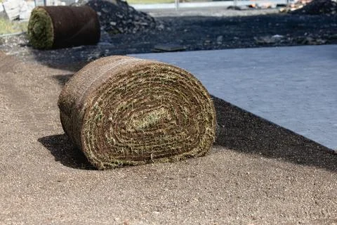 Stack of turf grass for lawn. roll of sod, turf grass roll. Stock Photos