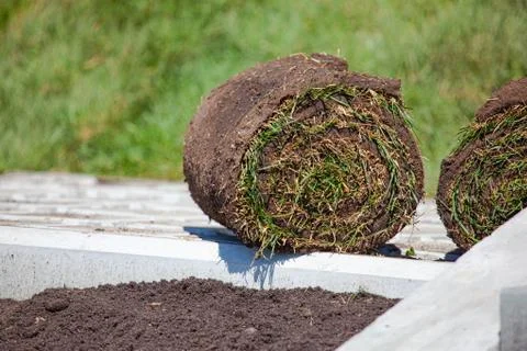 Stack of turf grass roll for lawn Stock Photos