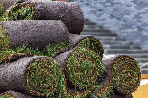 Stack of turf grass roll for lawn Stock Photos