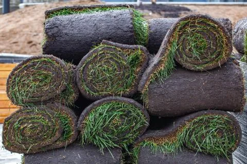 Stack of turf grass roll for lawn Stock Photos
