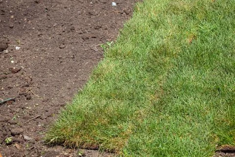 Stack of turf grass roll for lawn Stock Photos