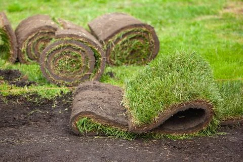 Stack of turf grass roll for lawn Stock Photos