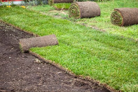Stack of turf grass roll for lawn Stock Photos