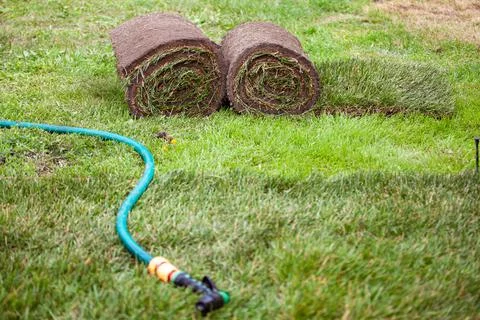 Stack of turf grass roll for lawn Stock Photos