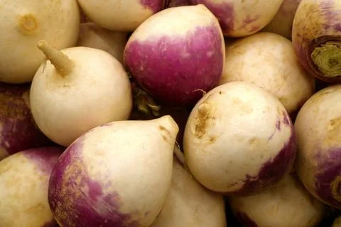 Stack of turnips on a market stall 스톡 사진
