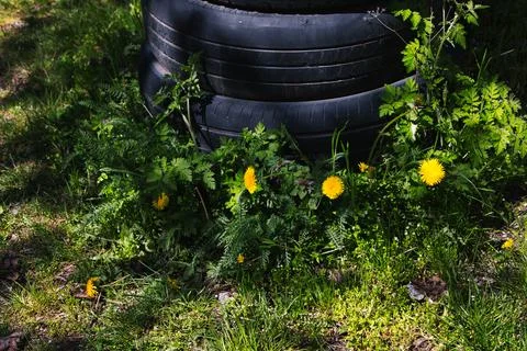 A stack of used automobile tires placed outdoors among green grass Stock Photos