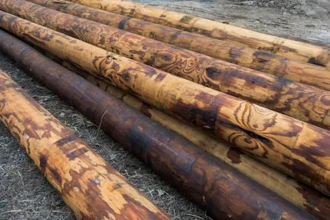 Stack of utility telephone poles 2 Stock Photos