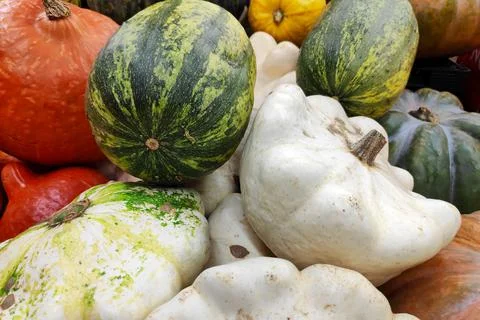 Stack of various Cucurbits on a market stall Stock Photos