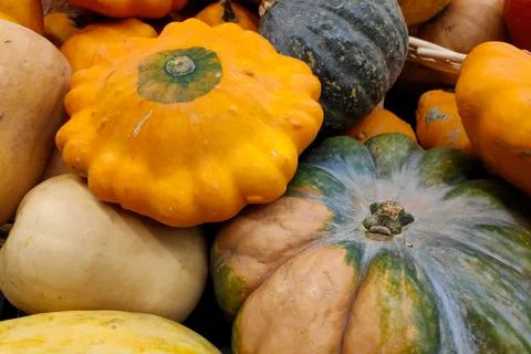 Stack of various Cucurbits on a market stall 스톡 사진