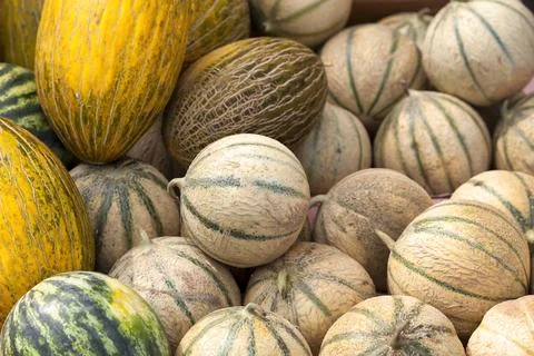 Stack of various melon species on a market stall Stock Photos